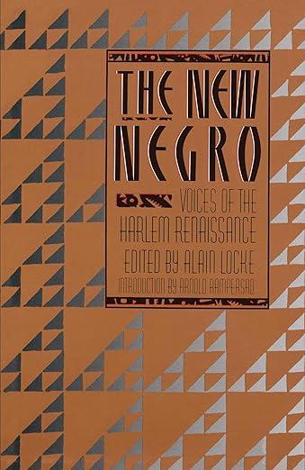 The New Negro book cover