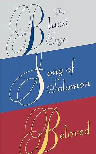 Toni Morrison box set image
