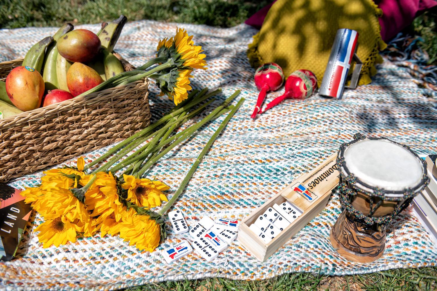 sunflowers, fruit, instruments on a blanket