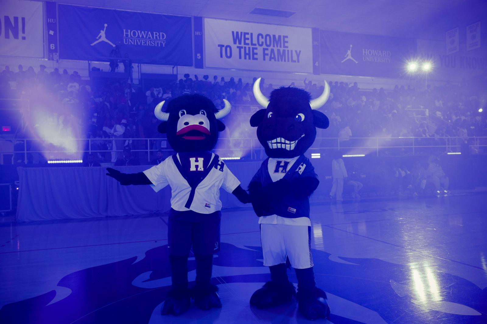 Howard Bison mascots in blue lighting