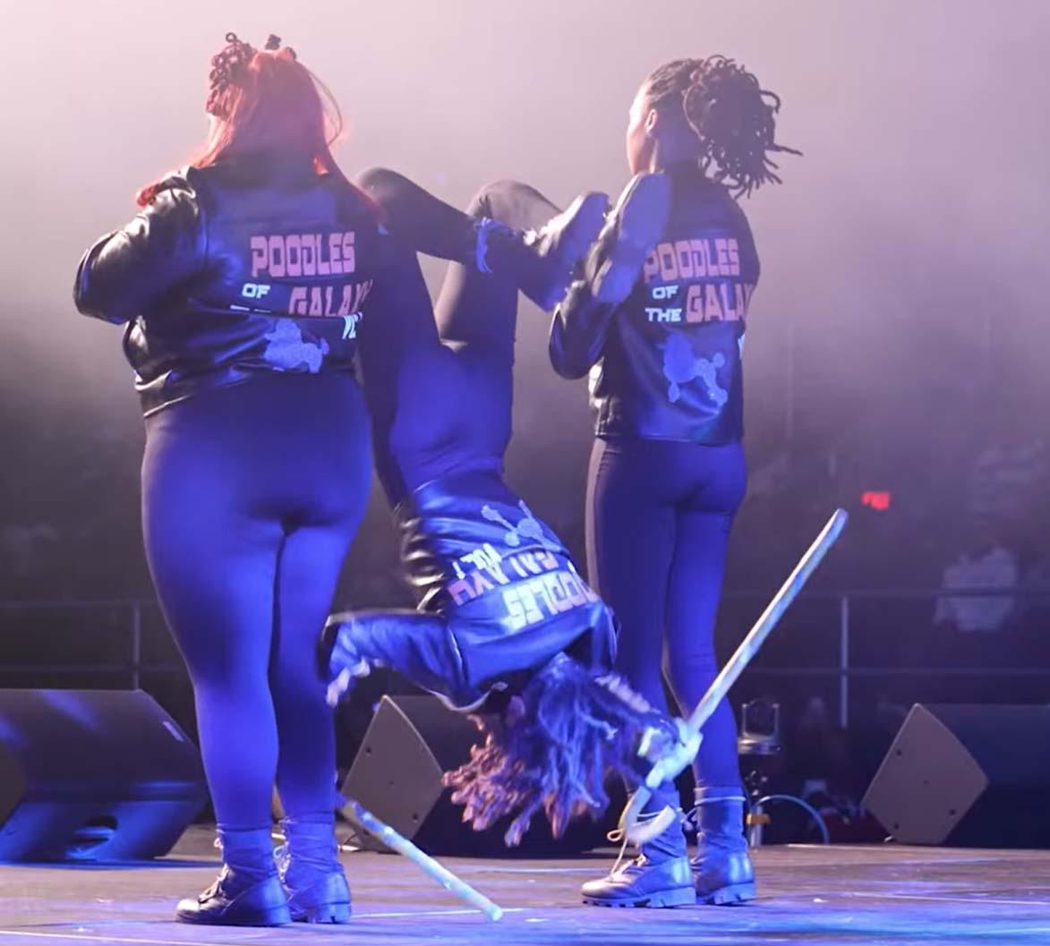 Poodles of the Galaxy Image Howard University