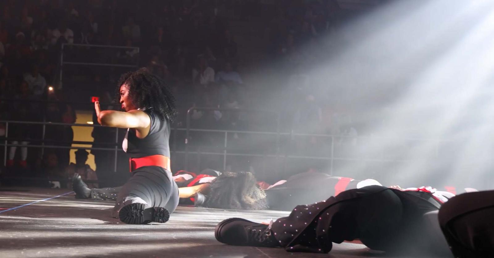 Delta Sigma Theta at Howard University Homecoming 2026